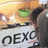 Poklon kači, ki v Indiji velja za simbol plodnosti