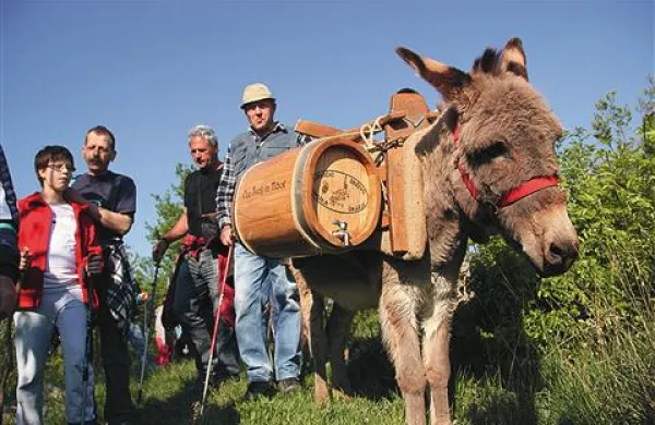 Osliček je poskrbel, da pohodniki niso bili žejni