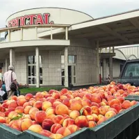 Občina je oddala  ponudbo za Fructal