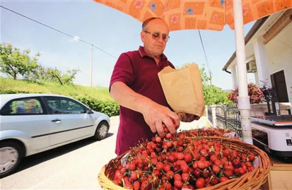 Češnje so Brici v dobršni meri prodali doma, ob glavni cesti, zdaj občina pomaga organizirati odkup