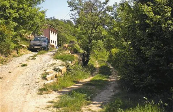 Vaščani Fijeroge se bojijo na svoje njive po poti mimo hiše Dareta Čekeliša, češ da ne vedo, ali jih bodo napadli njegovi psi