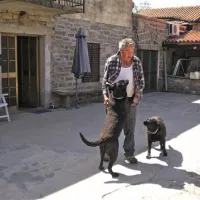 Albin Hrvatin trdi, da so psi Dareta Čekeliša in Andreje Bogataj Krivec tako pogrizli njegovega psa, da ga je moral peljati na šivanje