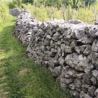 Suhi zid na Krasu