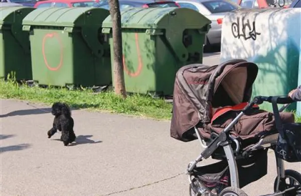 Truplo novorojenčka, ki je umrl zaradi zadušitve, so našli v zabojniku za smeti.