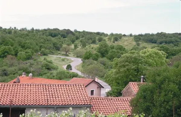 Kot je pred časom pojasnil župan občine Hrpelje - Kozina Zvonko Benčič - Midre se za gradnjo centra pri Petrinjah zanima GH Trust, ki je skušal isti projekt izpeljati že v okolici Divače, a je tam naletel na nasprotovanje krajanov. V Petrinjah se investitor zanima za lokacijo desno od ceste na sliki.