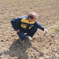  “Na tej njivi sem ob pol pridelka,” ugotavlja   Nikolaj Kogoj