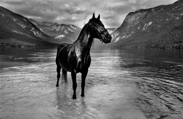 Žiga Koritnik: Čili v jezeru, fotografija, 2009. 
