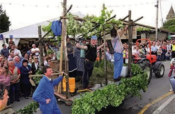V Marezigah bo vse do nedelje znova veselo. (foto: Zdravko Primožič/FPA)