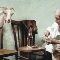 Botri vabijo v najlep&scaron;i kino