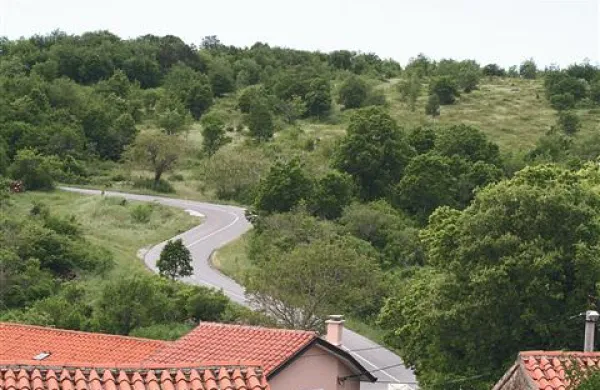 Občina Hrpelje - Kozina je lastnica od 160 do 180 hektarjev zemljišč v trikotniku med Podgorjem, Petrinjami in Črnim Kalom. Polovico bi jih lahko namenila za CVŠV, drugo polovico pa za fotovoltaiko. V tem primeru bi fotovoltaične panele namestili bliže vasi Petrinje (na sliki),  pravi župan občine  Zvonko Benčič – Midre.