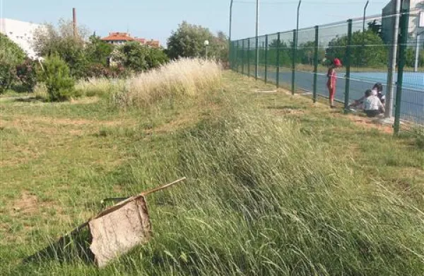 S košarkarskim igriščem ob OŠ Livade za zdaj še upravlja CKŠP, kmalu pa bo, kot kaže,  Komunala, v domeni katere je tudi košnja  trave  ob igrišču