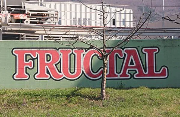 Ajdovski svetniki so podprli nakup Fructalovih delnic. 