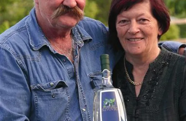 Slive za zlati brkinski slivovec 2008 sta pobirala Franc in Sonja Jelušič