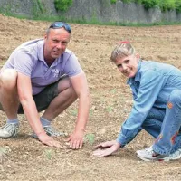 Bogdan Križman in Ingrid Dolgan bosta prav danes posadila novih 5000 sadik  in postala največja pridelovalca sivke na Krasu