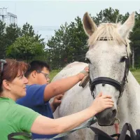 Nataša Hreščak in Niko sta  po terapiji konja  skrtačila 