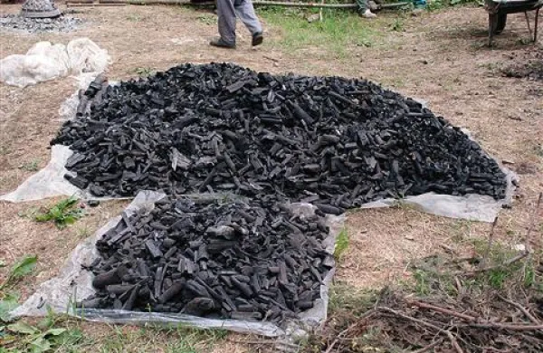Ko so kopo ohladili in odkrili, so dobili izvrstno, domače leskovo  oglje.