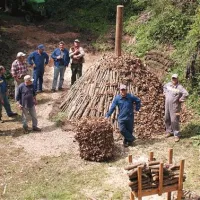 V okolici Javorja so posekali toliko debele leske, da jim je lesa še ostalo.