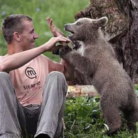 Medvedek v zaveti&scaron;če, lastnik pa v zapor