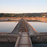 Pogled na solno polje