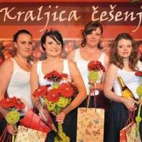 Nova kraljica češenj je Polona Makorič iz Medane (druga z leve) 