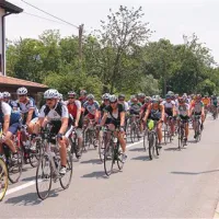 Na stotine kolesarjev se je v soboto podalo na 108-kilometrsko “češnjevo” pot  