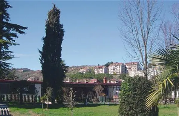 Stanovalce v Olmu moti sečnja dreves