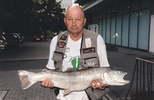 Iz Soče potegnil velikega lepotca
