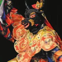 Ples divjega jaka, ki  na Tibetu velja za sveto  žival