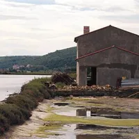 En mesec za revizijo poslovanja Pomorskega muzeja