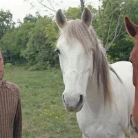 Družbo v naravi jim delajo tudi konji