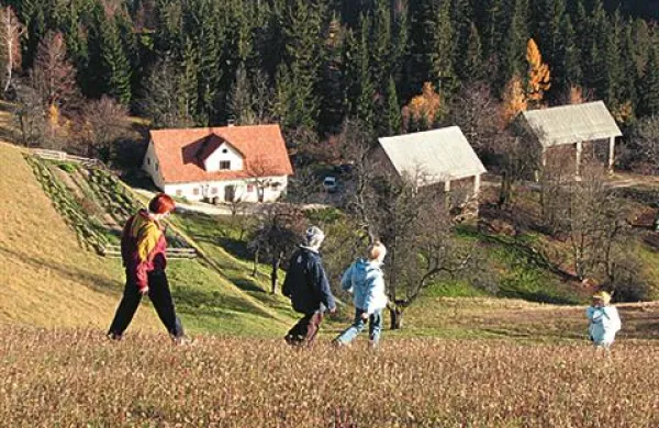 Ministrstvo za kmetijstvo, gozdarstvo in prehrano je v uradnem listu objavilo nov javni razpis za pomoč mladim prevzemnikom kmetij v višini desetih milijonov evrov.
