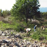 Pridna skupina domačinov zgledno skrbi za Sveto Katarino. Letos je manjša skupine posekala les po vsem obzidju oziroma ostankih nekdanjega gradišča, očistila del zidu in uredila pot ob obzidju za oglede in vzdrževanje. Uredili so del hriba ob kapelici in zasadili cvetje. Pripravili so  čistilno akcijo z gasilci iz Jelšan, letos so na predvečer 1. maja prvič prižgali tudi kres. 