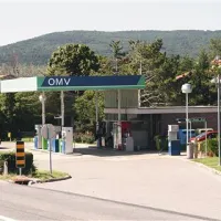 17-letnika in uslužbenec z OMV-jevega bencinskega servisa naj bi skovali  načrt za lažni rop