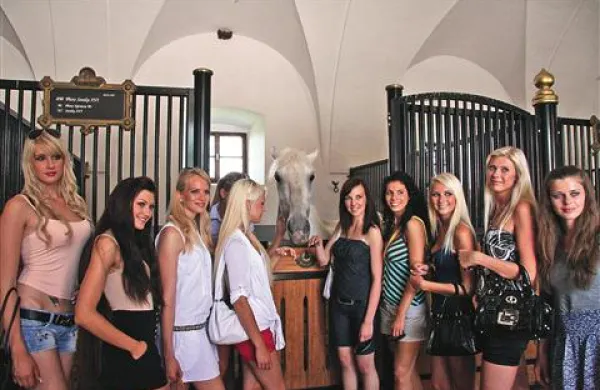 Miss Slovenije je  že v Lipici