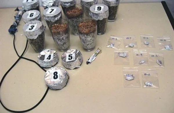 Kranjski policisti so naleteli na heroin, konopljo in nore gobe. 
