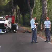 Z avtom v drevo in na streho