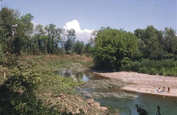  Sanacija spreminja podobo obrežja Vipave. Del Mirencev je ogorčenih, ker podirajo tudi sto let stara drevesa. Strokovnjaki zagotavljajo, da dreves na brežini ne bodo sekali. 