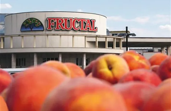 Zavezujoče ponudbe za nakup Fructala naj bi oddali štirje strateški partnerji.