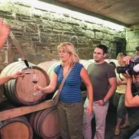 Uroš Rojac iz Gažona je obiskovalce popeljal tudi v klet in jim predstavil vina, ki še zorijo.
