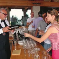 Prodaja vina na domačem trgu se je lani povečala, izvoz pa se je zmanjšal.