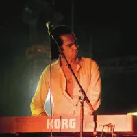 Koncertno ponudbo šestega Inmusic festivala je sklenil glasbeni kolektiv Nicka Cavea - Grinderman.