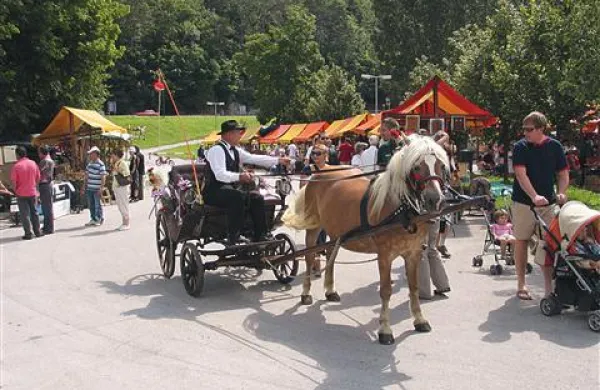 Letošnji Furmanski praznik bo v svoji 20. izvedbi še posebej pester in zanimiv, zato organizatorji pričakujejo več kot deset tisoč obiskovalcev.