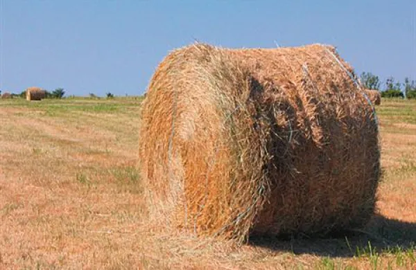 V četrtek zvečer je v Vrtojbi zgorelo 63 bal sena.