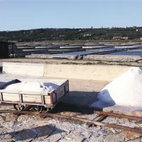 Vsi, ki skrbijo za Krajinski park Sečoveljske soline, se nadejajo, da bodo z dolgo pričakovanim  upravljalskim načrtom končno  zgladili medsebojne spore in sodelovali v javno dobro parka