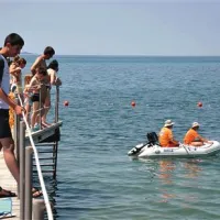 Nekateri kopalci v Ankaranu so v torek morje in meduze v njem raje opazovali z varne razdalje. Reševalci iz vode so medtem meduze iskali s čolnom.