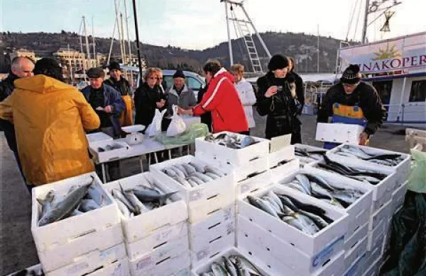 (Foto: Zdravko Primožič/FPA)