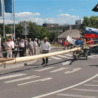 Do Postojnske jame prepeljati 30 metrov dolg mlaj ni bilo lahko delo.