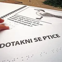 Lani so na Kaverljagovih delavnicah ustvarili knjigo, posvečeno pticam, letos pa se bodo lotili žuželk