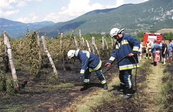 Požar je uničil vinsko letino