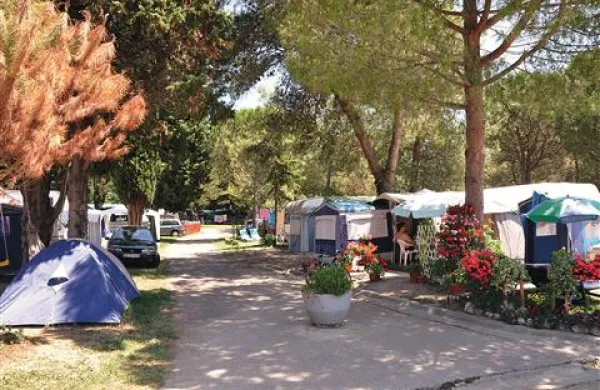 V izboru so slovenski kampi razvrščeni na manjše in večje, številnejši hrvaški pa v kar sedem kategorij.